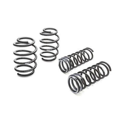 Eibach springs