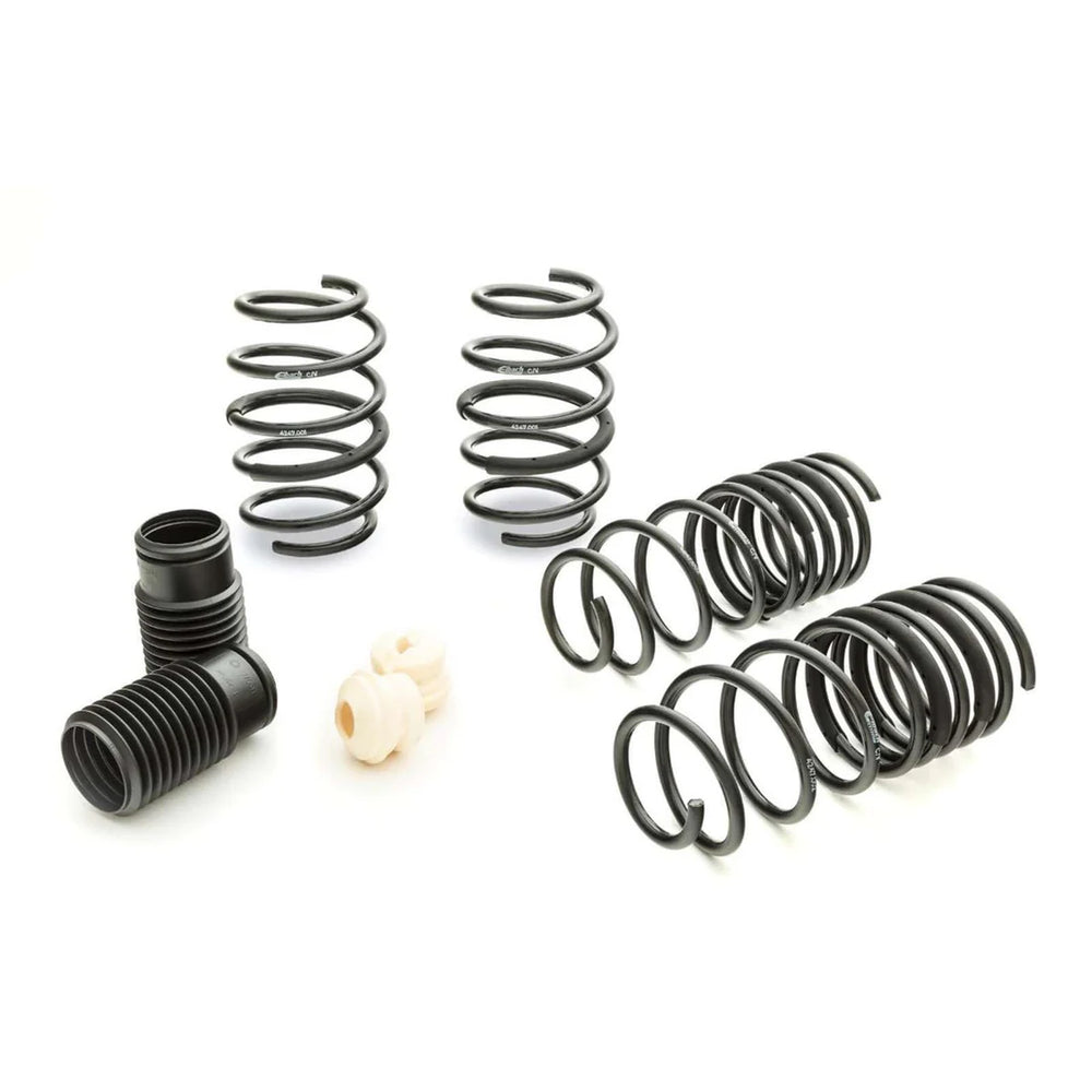 Eibach springs