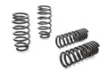 Eibach springs