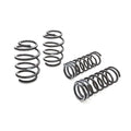 Eibach springs