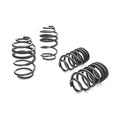 Eibach springs