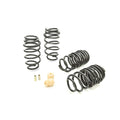 Eibach springs