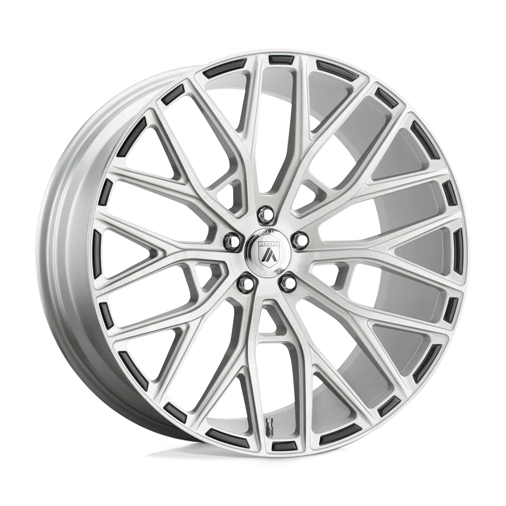 LEO 22X10.5 BLANK BRUSHED SILVER (2