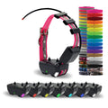 ALPHA TT 25 DOG COLLAR STANDARD P