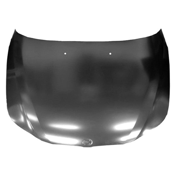 HOOD PANEL ASSY ALL BMW 525I 0410