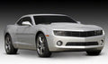 T-Rex Grilles black auto part