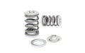 Kelford Cams springs