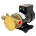 F3B19 12V OIL CHANGE PUMP 3/8IN NPT
