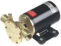 F3B19 12V OIL CHANGE PUMP 3/8IN NPT