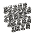 Supertech springs