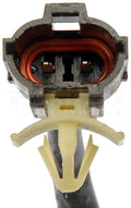 MOTOR/REGULATOR ASSEMBLY