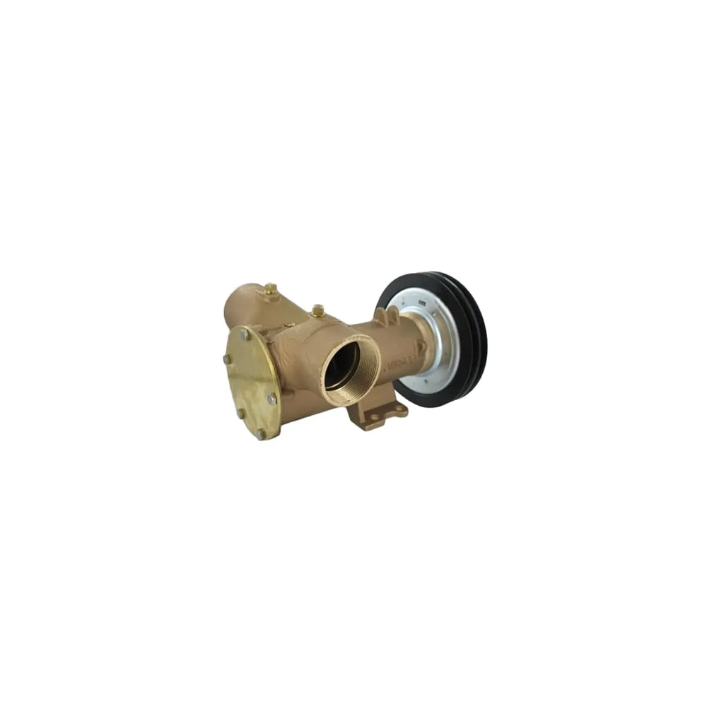 PUMP 2 ELECTRO-MAGNETIC