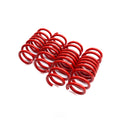 AST 1988-04/1995 BMW 3 Lowering Springs - 55mm/40mm