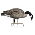 Avian X auto part