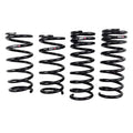 RSR Forged springs