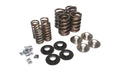 VALVE SPRING KIT, PERFORM
