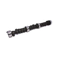 HE 192/200 H-Flt Cam Chevy 200-229/3.8L