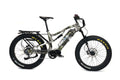 STORM / LARGE MATTE BLACK 25AH EBIKE