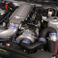 2005-2006 Ford Mustang 4.6 GT System w/V-2 Si-Trim Satin