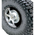 TROPHY RACE BIG BRAKE KIT
