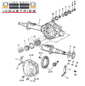KIT-GEAR PIN & NUT