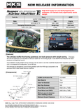 HKS muffler
