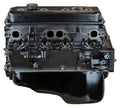 CHEV 305 96-00 MARINE ENG