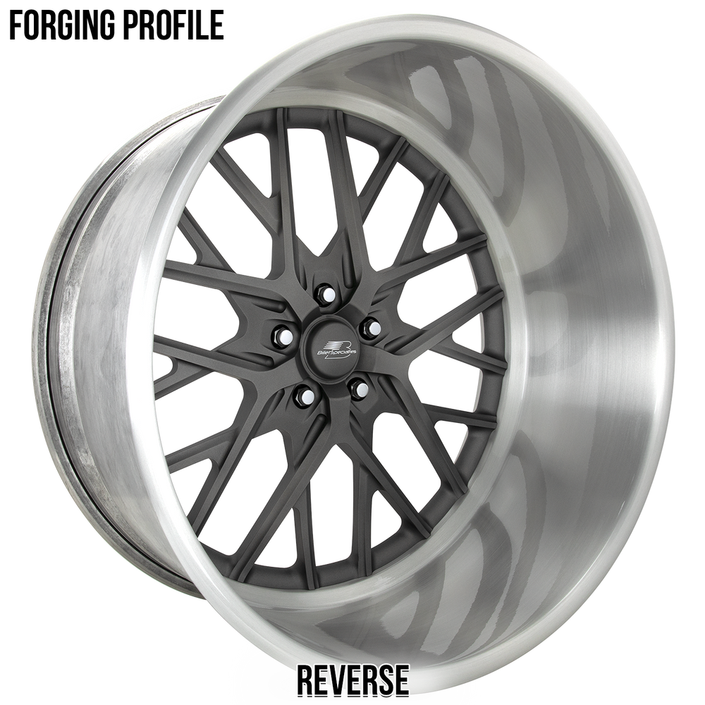 RS25 WIN LITE LT SBL POL 24X12