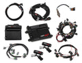 Holley auto part detail