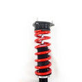 RS-R 2016+ Infiniti Q50 Red Sport 400 AWD (DDS) Best-i Active Coilovers