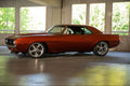 RAT TAIL 6 22X9
