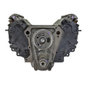BRG WRNR 4494 TRNSFR CASE