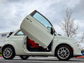 LSD (Lambo Style Doors) auto part