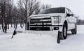 SNOWSPORT HD PLOW W/ 84IN BLADE NO HITCH