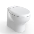 2G ELEGANCE ALTO STANDARD 24V POLY