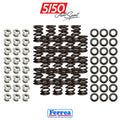 Ferrea 01-06 BMW S54 Dual Spring Kit