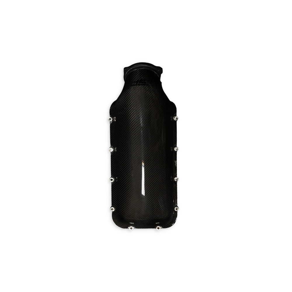 Carbon Fiber Intake Cver Gen 3/4 Gen 5 LT