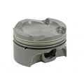 Piston Kit