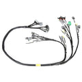 Rywire Honda F/H-Series Mil-Spec Engine Harness w/Chassis Specific Adapter