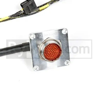 Rywire Honda F/H-Series Mil-Spec Engine Harness w/Chassis Specific Adapter