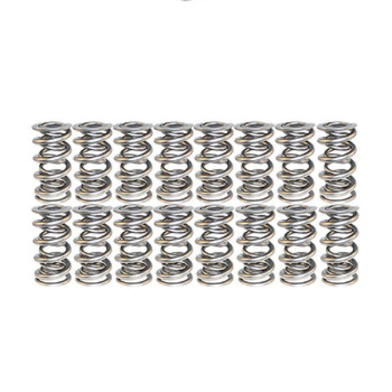 SPRING-1448 POLISHED