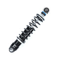 AccuAir shock absorber close-up