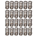~(3 lbs. 12X6X3)~ Cummins 99-18 103 Spring set 98.5-present Dodge 24 valve springs 103# seat pressure Up to 4500 RPM W/O retainers