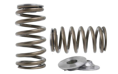 Kelford Cams springs