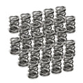 Supertech BMW S50B32 EURO VERSION Dual Valve Spring Kit