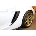 CF Side Pods GT4 Por Caym