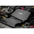 AMS carbon intake system