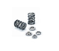 Supertech springs