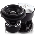 Z V.6 12IN D1 (2500WATT) BUILT SUBWOOFER