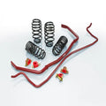 Eibach Pro-Plus Kit for 15-17 Volkswagen GTI MKVII
